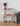 CHARISMA 3 SHELF UNIT - LIGHT SONOMA OAK/CHROME